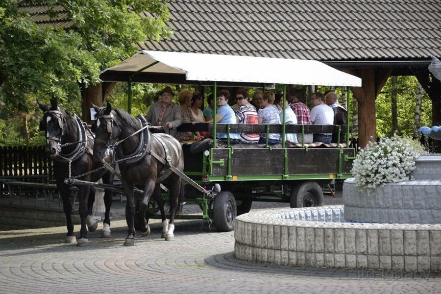 ホテルPark Lesny 'U Kaczyny' Rogow エクステリア 写真