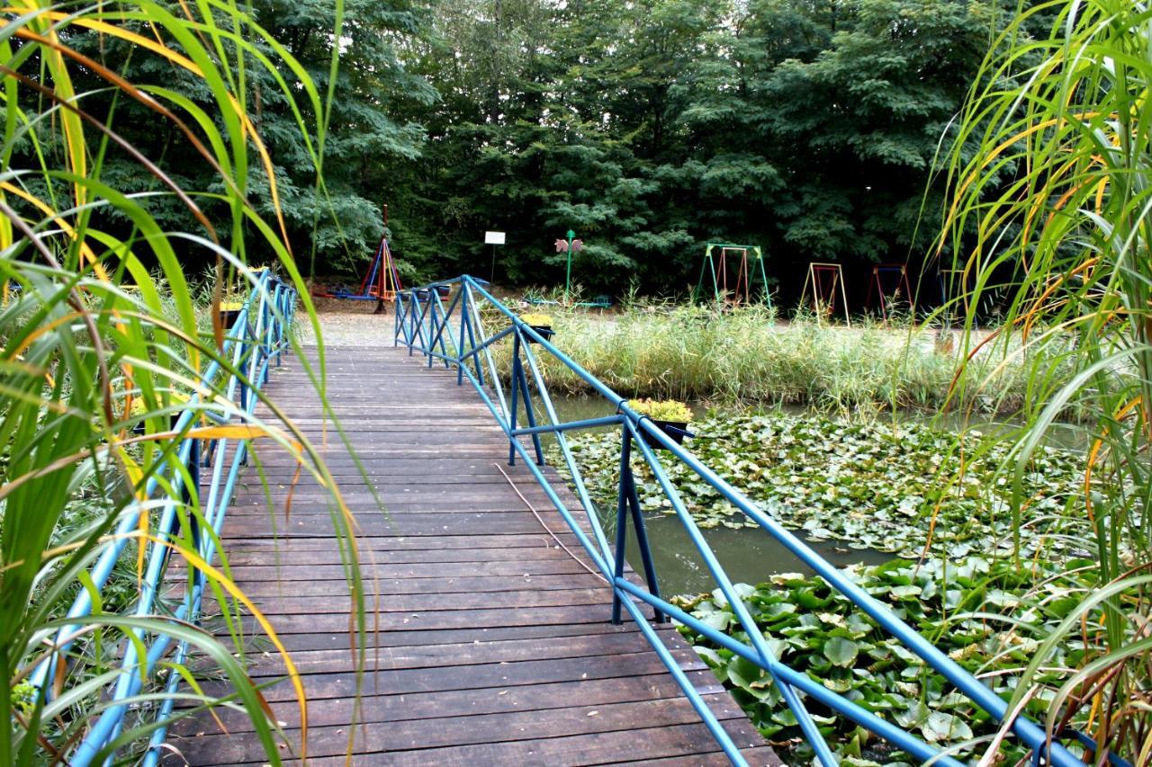 ホテルPark Lesny 'U Kaczyny' Rogow エクステリア 写真