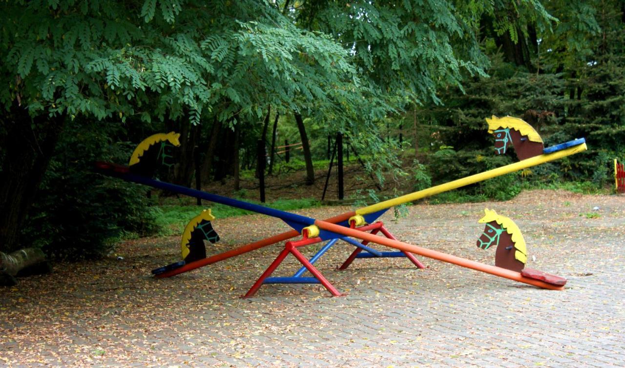 ホテルPark Lesny 'U Kaczyny' Rogow エクステリア 写真